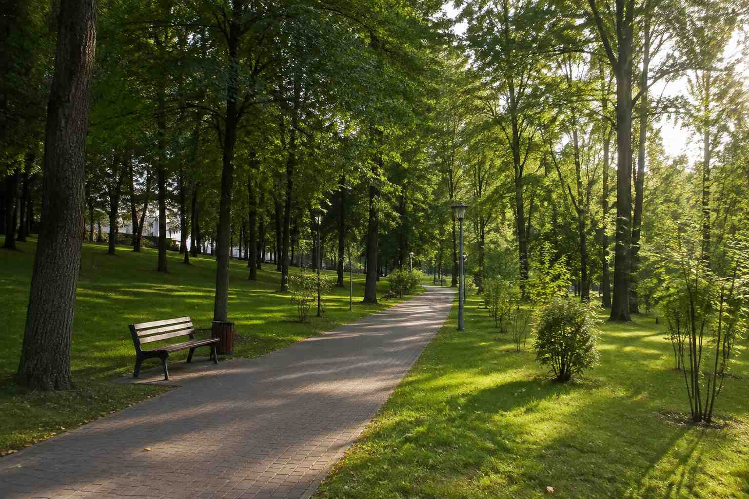 https://almetevsk.blago-s.ru/storage/app/uploads/public/6a7/eef/ed2/6a7eefed2af22038960370.jpg